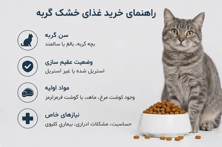 راهنمای خرید غذای خشک گربه بر اساس سن و شرایط جسمانی