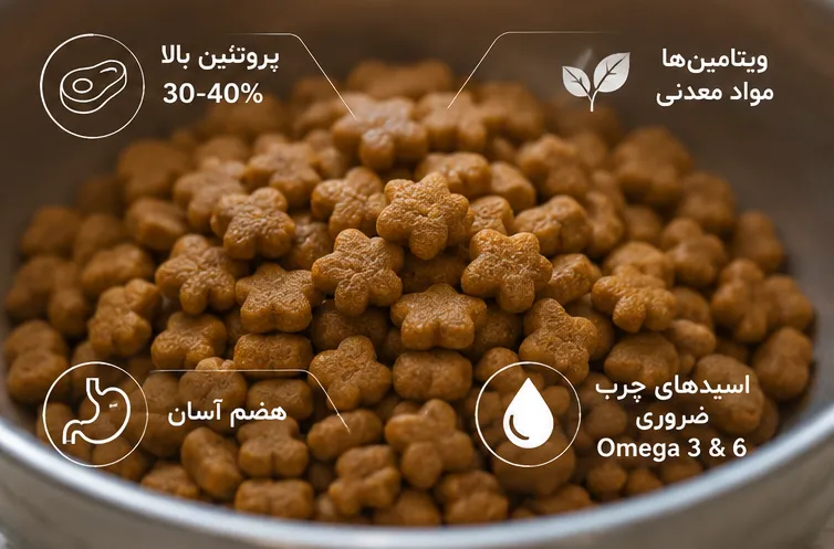 ویژگیهای بهترین غذای خشک گربه با پروتئین بالا