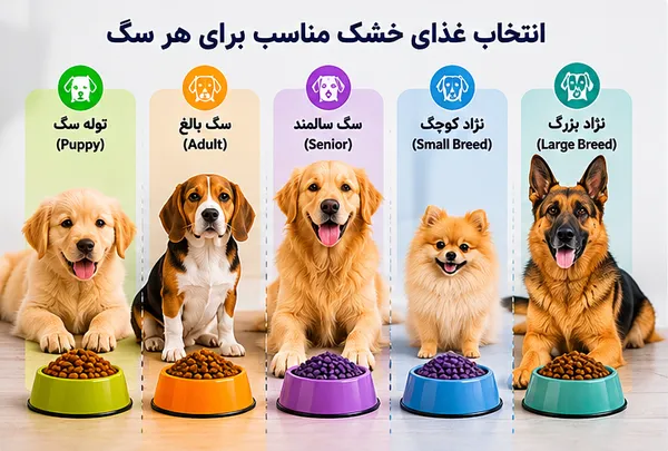 راهنمای خرید غذای خشک سگ بر اساس سن، نژاد و شرایط سلامتی
