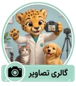 image gallery